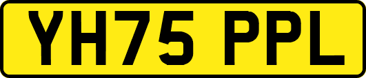 YH75PPL