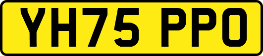 YH75PPO