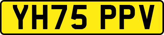 YH75PPV