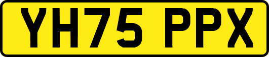 YH75PPX