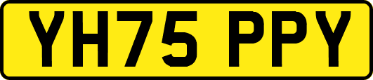 YH75PPY