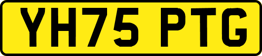 YH75PTG