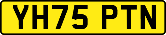 YH75PTN