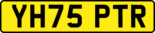 YH75PTR