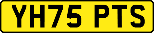 YH75PTS