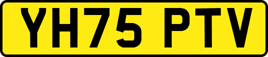 YH75PTV