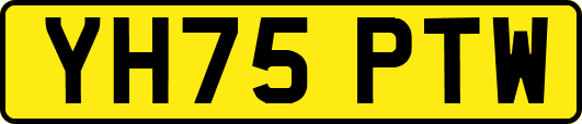 YH75PTW