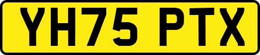 YH75PTX