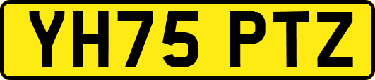 YH75PTZ