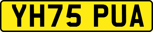 YH75PUA