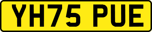 YH75PUE