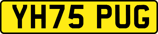 YH75PUG