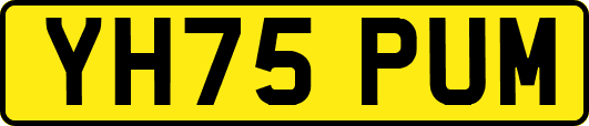 YH75PUM