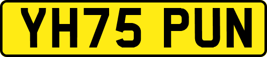 YH75PUN