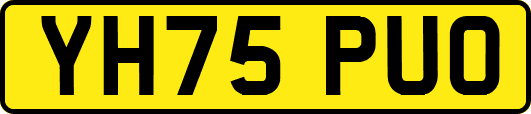 YH75PUO