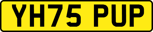 YH75PUP