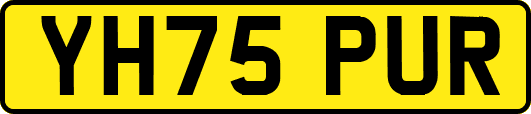 YH75PUR