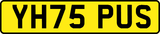 YH75PUS