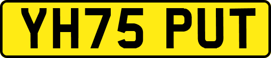 YH75PUT