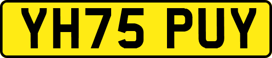 YH75PUY