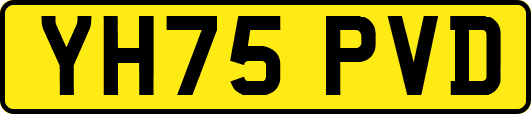 YH75PVD