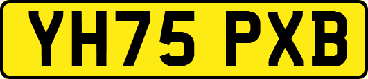 YH75PXB