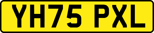 YH75PXL