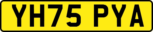 YH75PYA