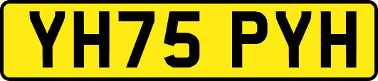 YH75PYH
