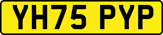 YH75PYP