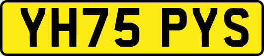 YH75PYS