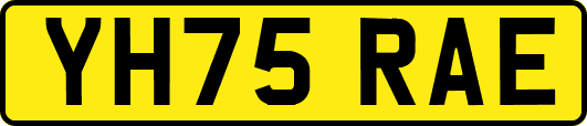 YH75RAE