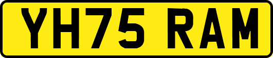 YH75RAM