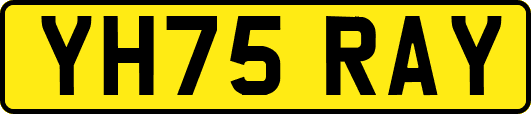 YH75RAY