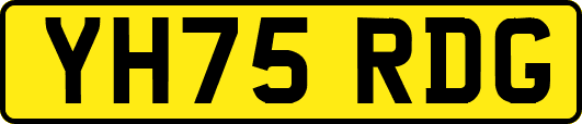 YH75RDG