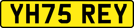 YH75REY