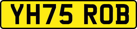 YH75ROB