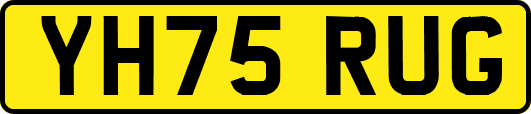 YH75RUG