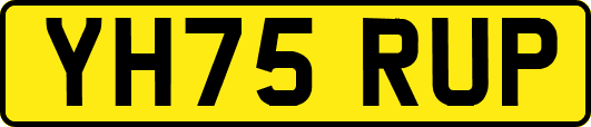YH75RUP