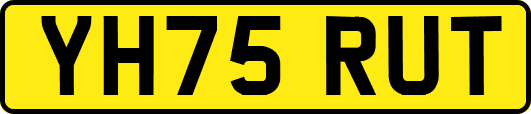 YH75RUT