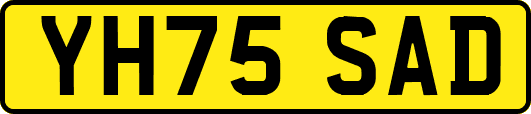 YH75SAD