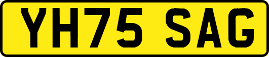 YH75SAG