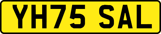 YH75SAL