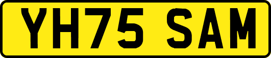 YH75SAM