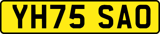 YH75SAO