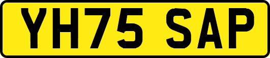 YH75SAP