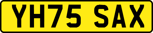 YH75SAX