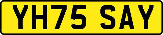 YH75SAY