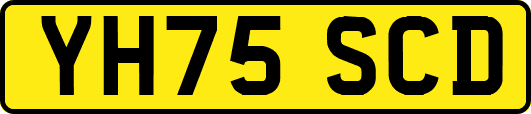 YH75SCD