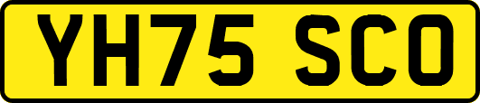 YH75SCO